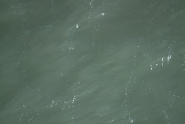 Missing Picture